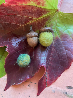 IMG_1654 (1).jpeg [sm-250]